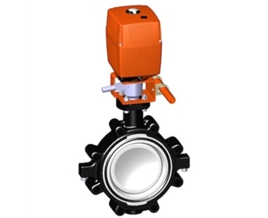電動(dòng)蝶閥，24V 帶手動(dòng)手柄、+GF+電動(dòng)蝶閥 電動(dòng)塑料蝶閥